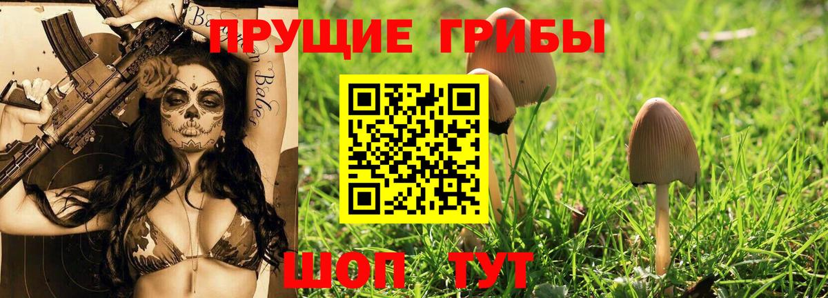 Псилоцибиновые грибы ЛСД Орск