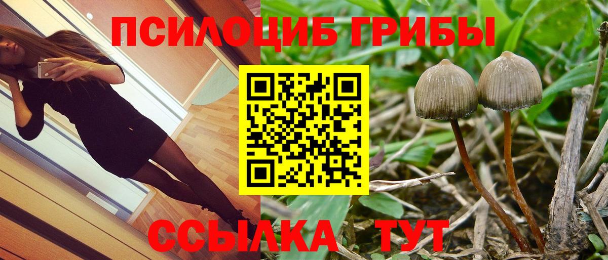 Псилоцибиновые грибы Cubensis  Вход с VPN  Орск  Галлюциногенные грибы Psilocybe 